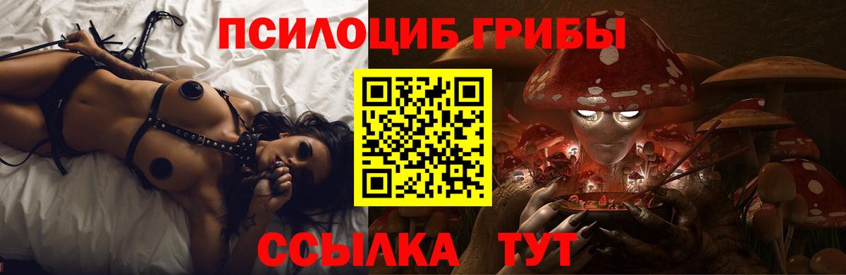 Галлюциногенные грибы ЛСД Сегежа